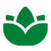 Yoga flower logo